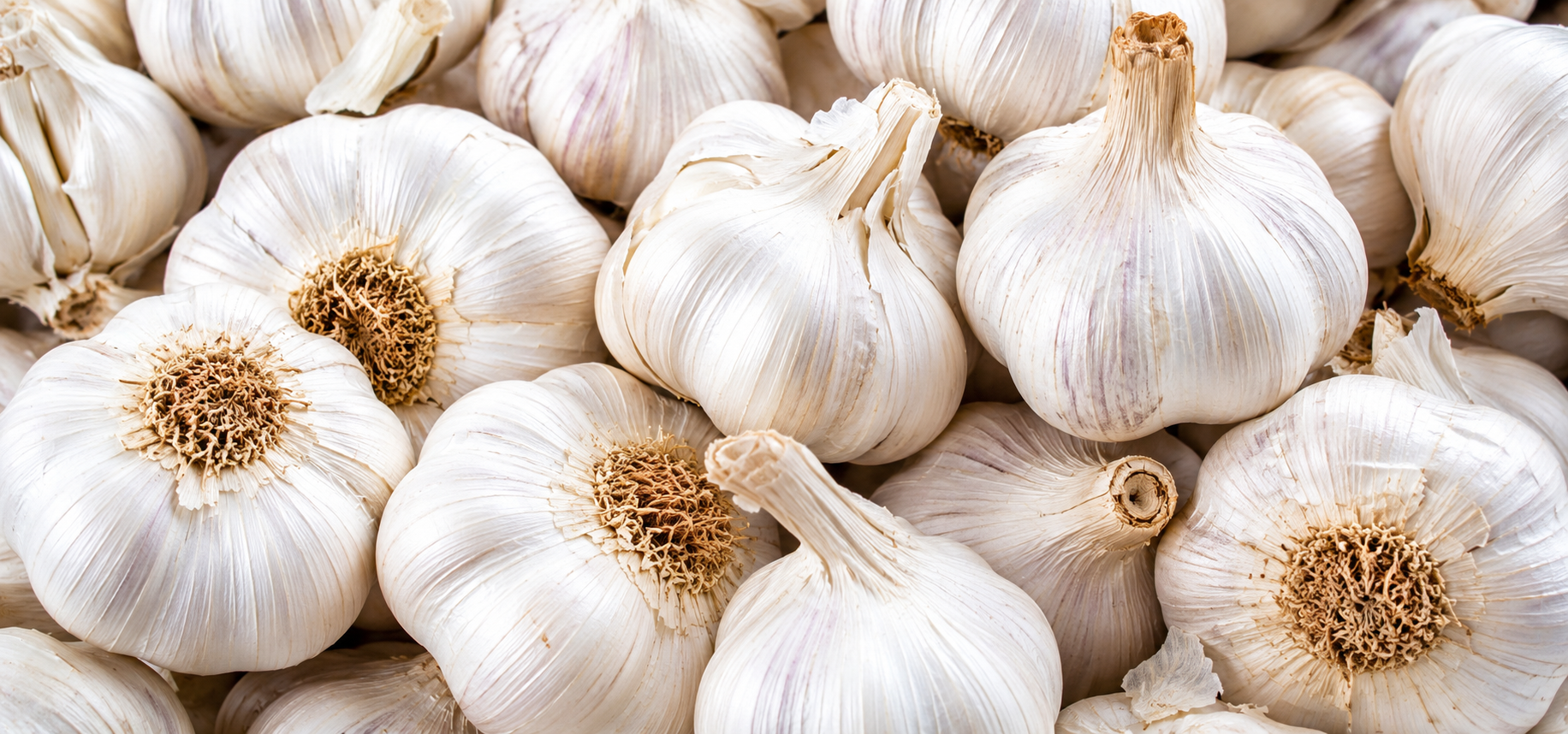 Dehydrated Garlic