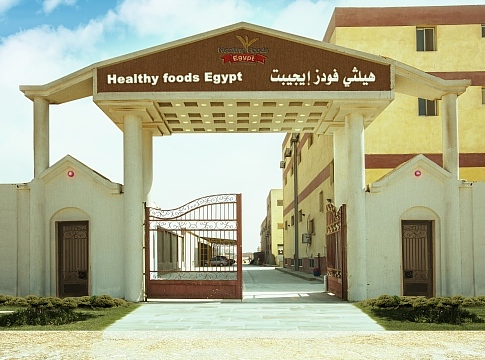Healthy Foods Egypt facility