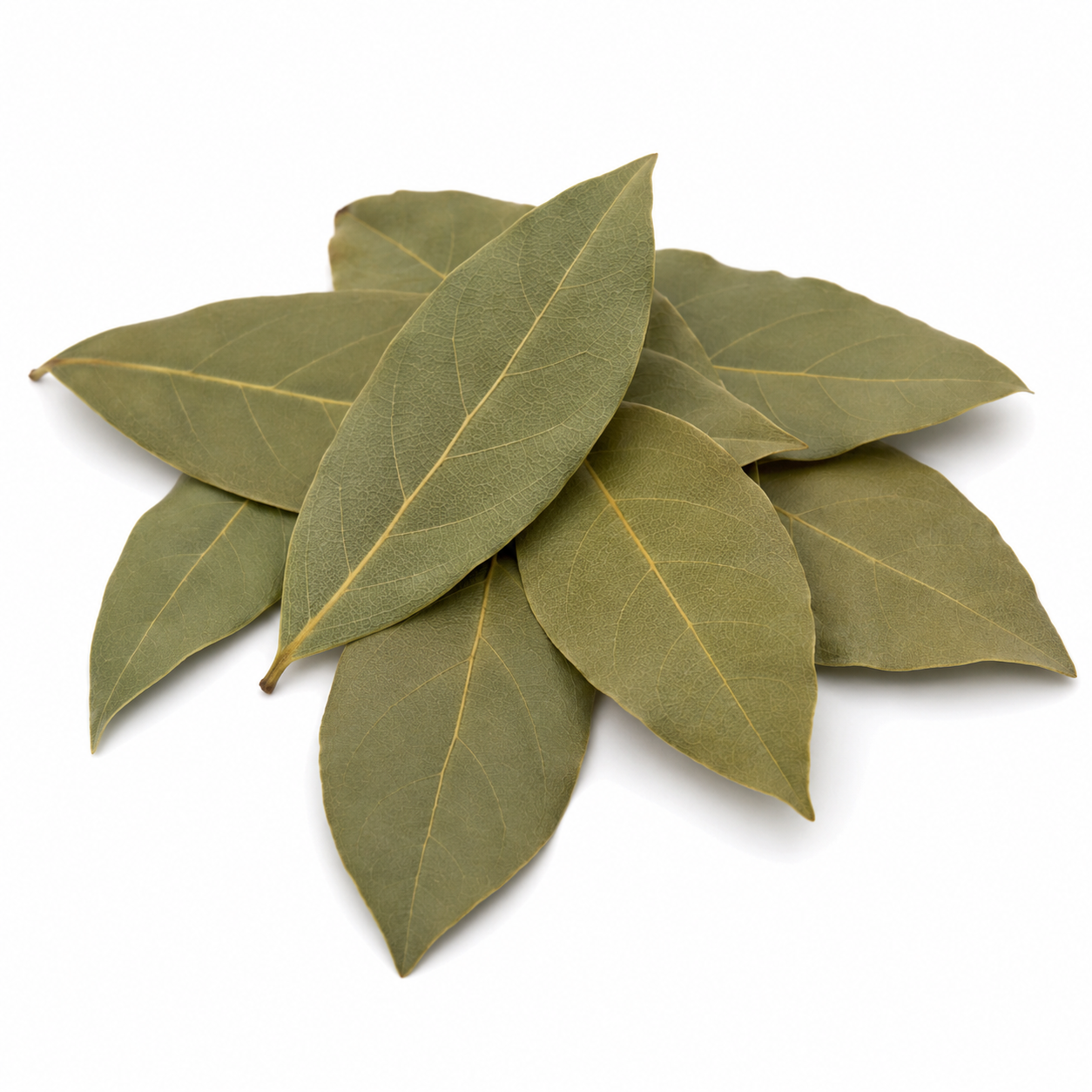 Dried bay leaves