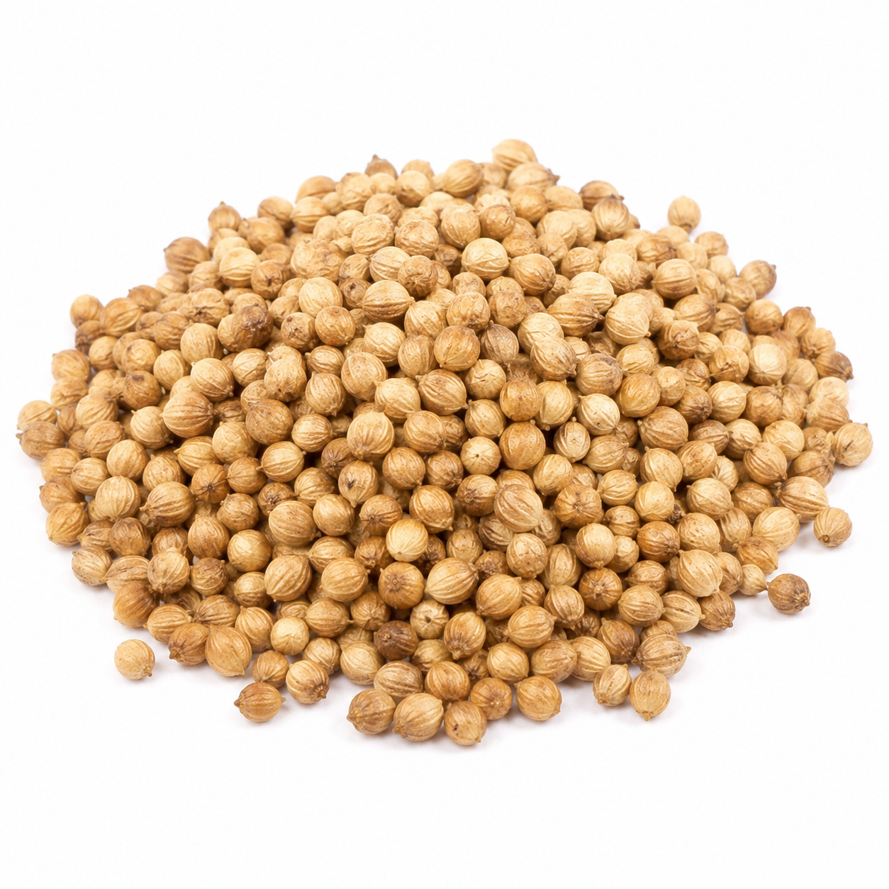 Dried coriander seeds